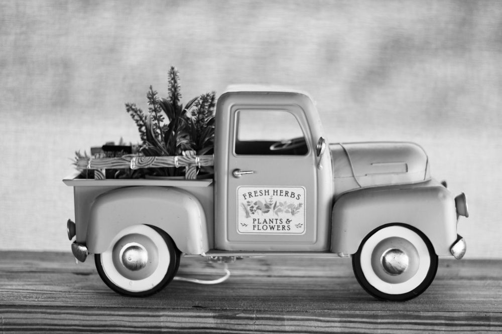 Фотография автора Jose Otero