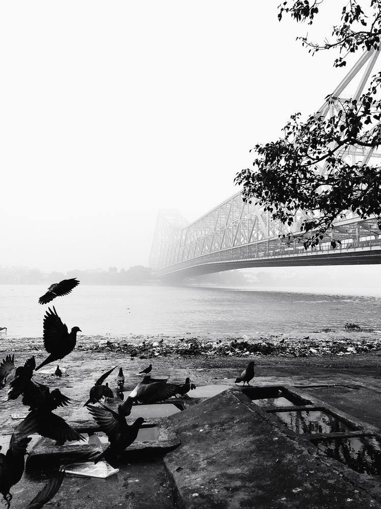 Фотография автора Nasif Ali Mondal