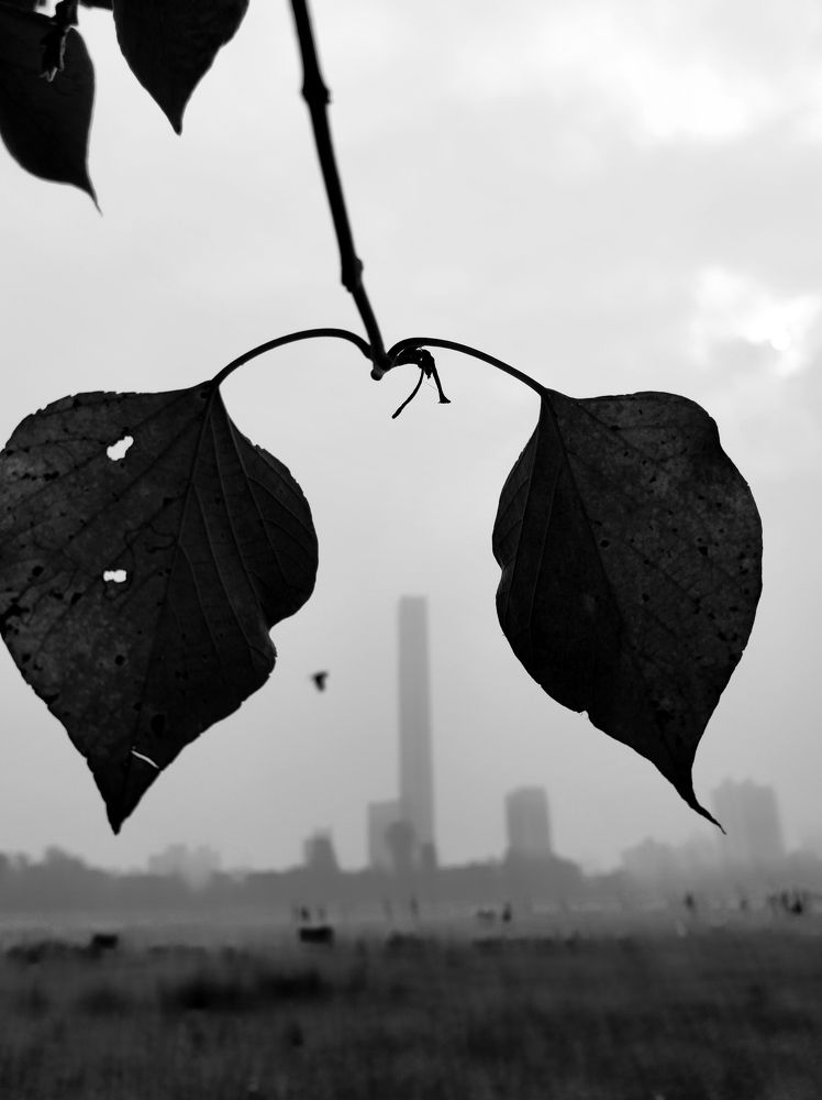 Фотография автора Nasif Ali Mondal