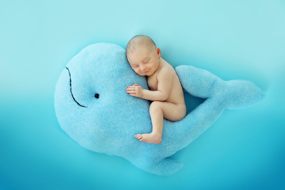 Photograph by Jane Sirkin