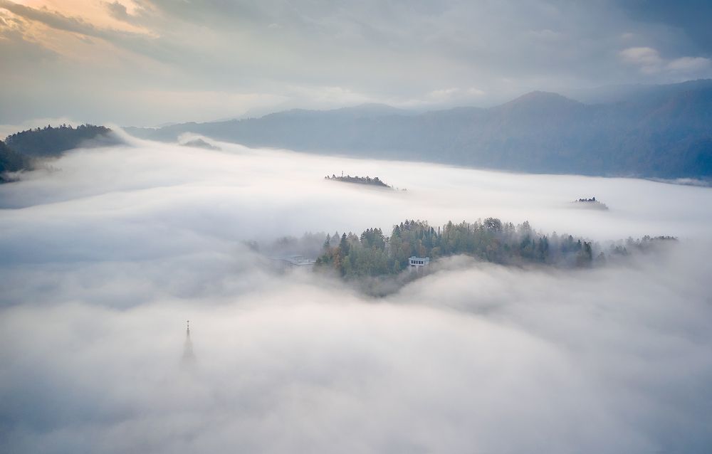 Photograph by Boris Bekelman