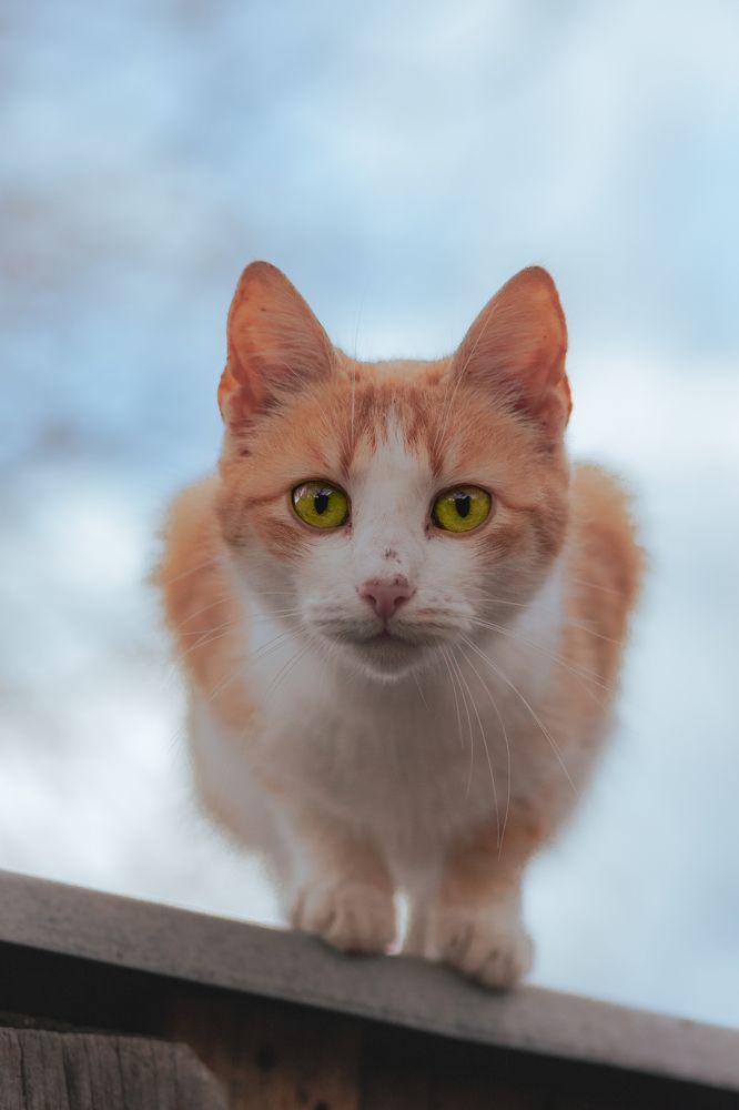 Photograph by Martin Mika