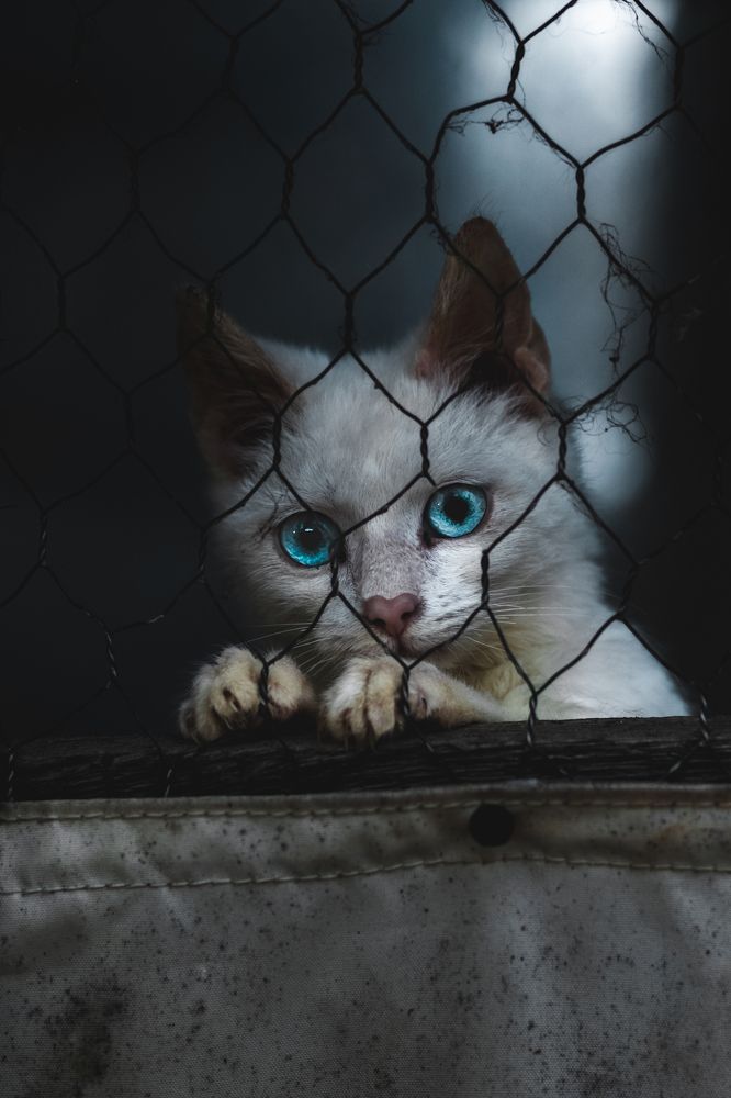 Photograph by Martin Mika