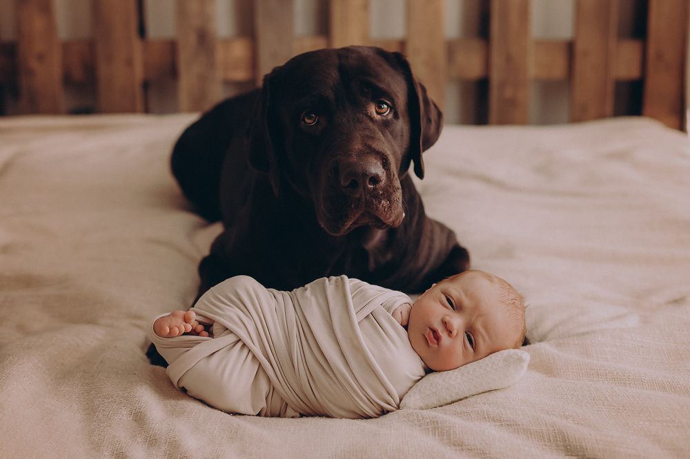 Фотография автора Светлана Рожкова