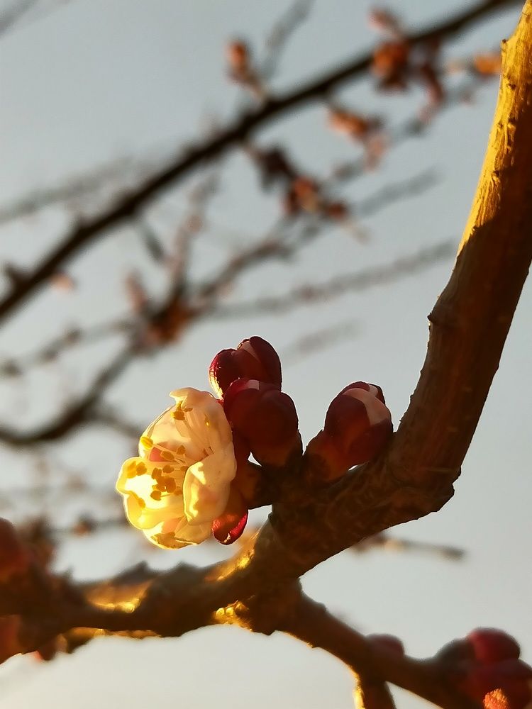 Photograph by Александра