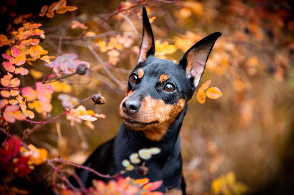 Фотография автора Евгения Глинская