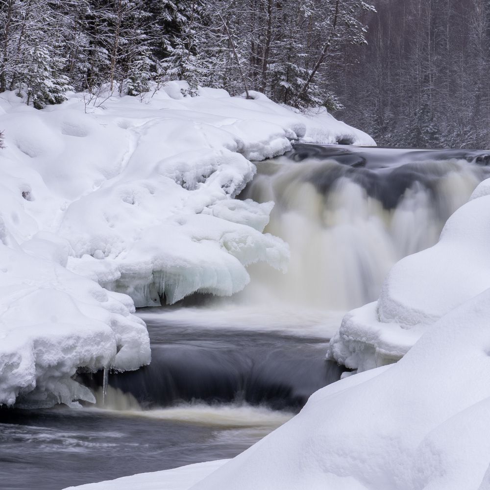 Photograph by Алена Устинович