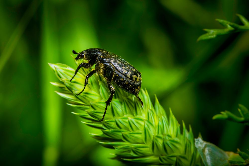 Photograph by רוסלן ברם