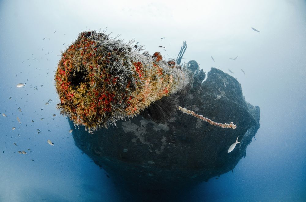 Photograph by ANTONIO RUVER BANDEIRA