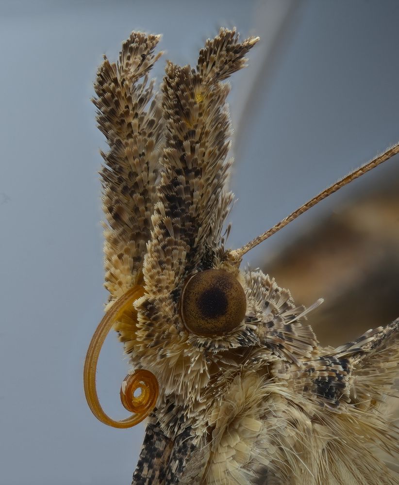 Photograph by Юрий Юрьевич