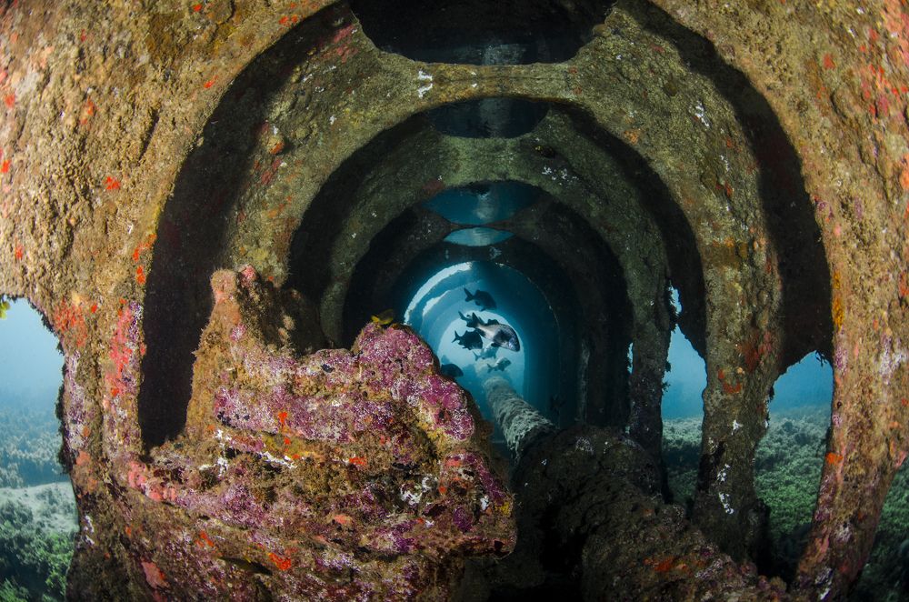 Photograph by ANTONIO RUVER BANDEIRA