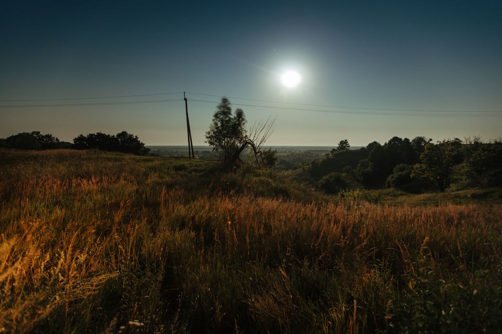 Photograph by Мария Бочкова