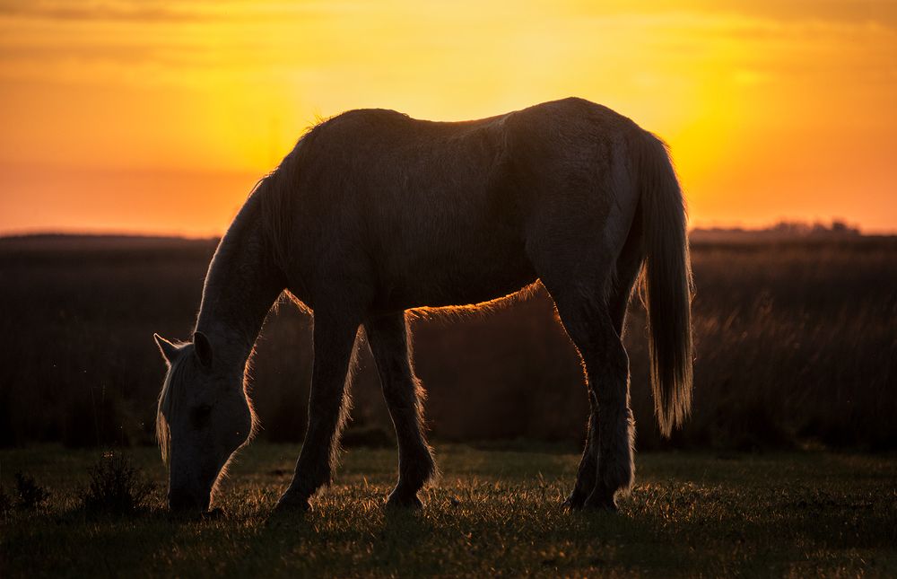 Photograph by Marina