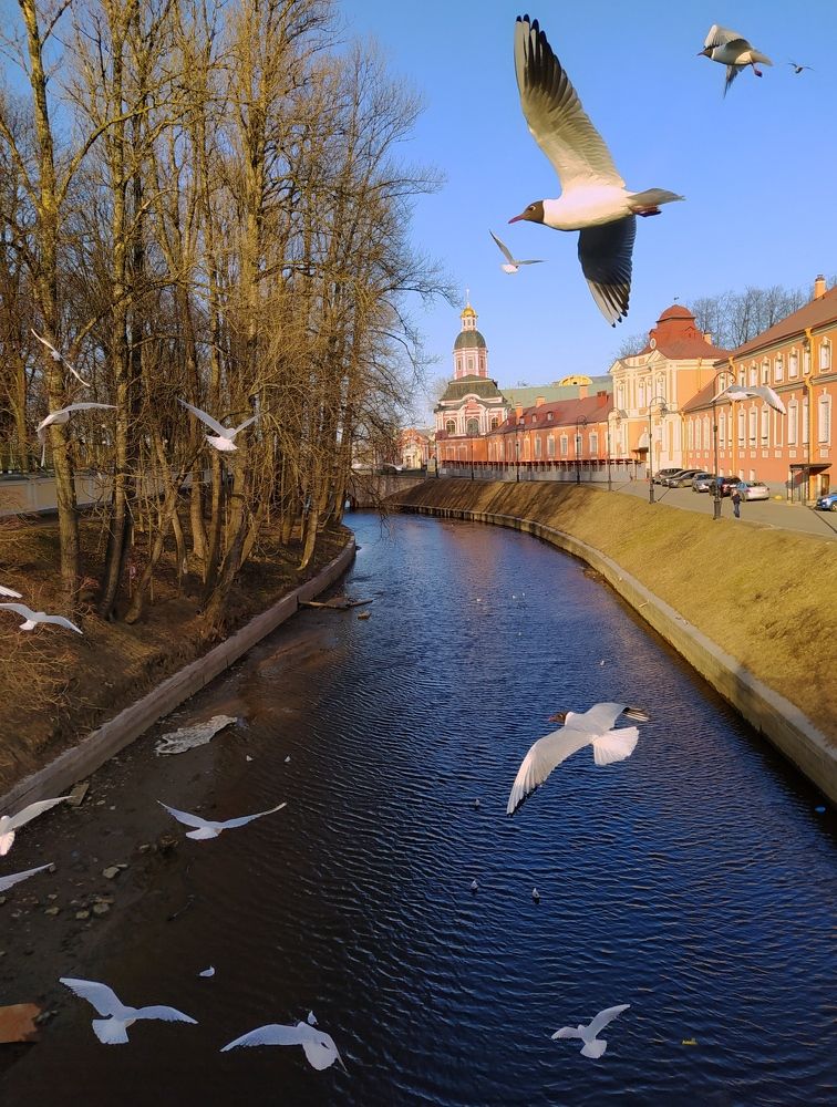 Весенний день