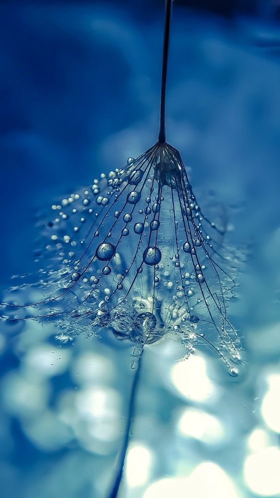 Photograph by Natalya