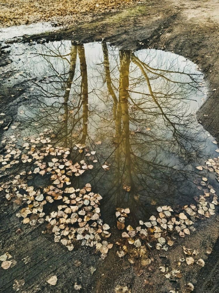 Photograph by Александра Королёва