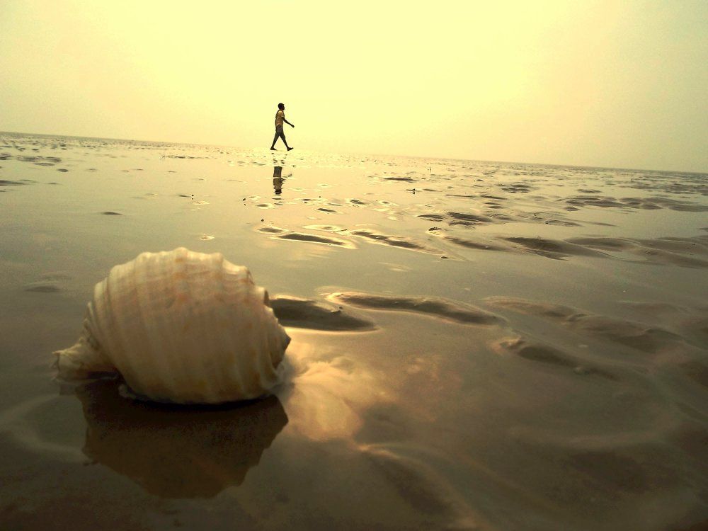 Photograph by ARIJIT PAUL