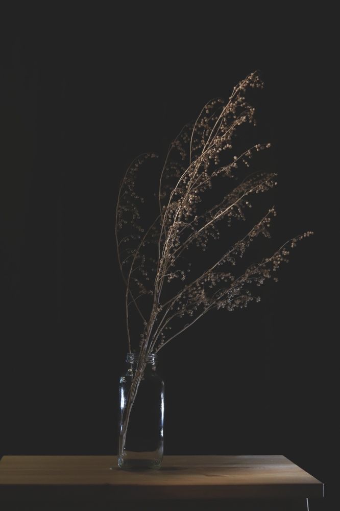 Photograph by Егорова Оксана