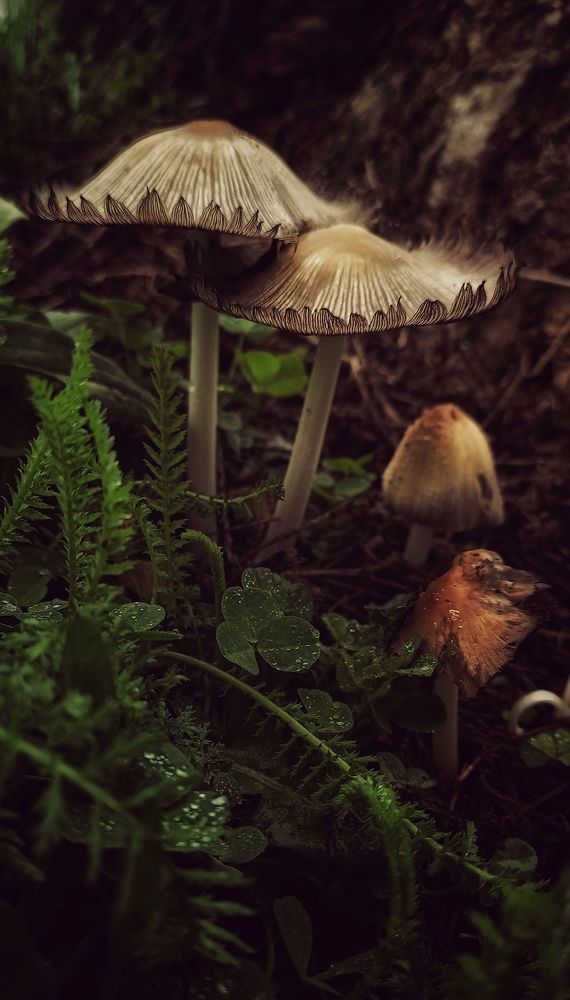 Photograph by Наталья Исиченко