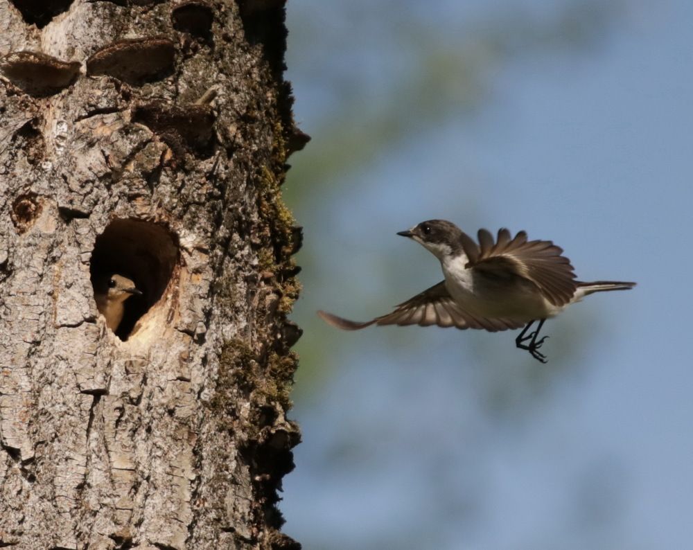 Photograph by Марина Бахтеева