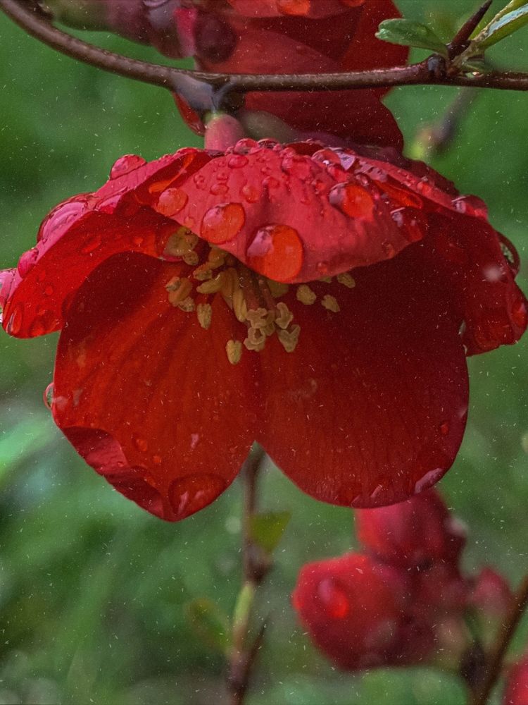 Photograph by Хавронина Марина