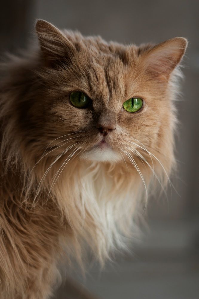 Photograph by Вася Кадочников