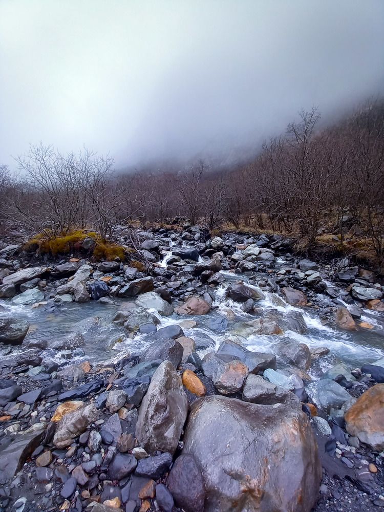 Photograph by Наталья Покрепина