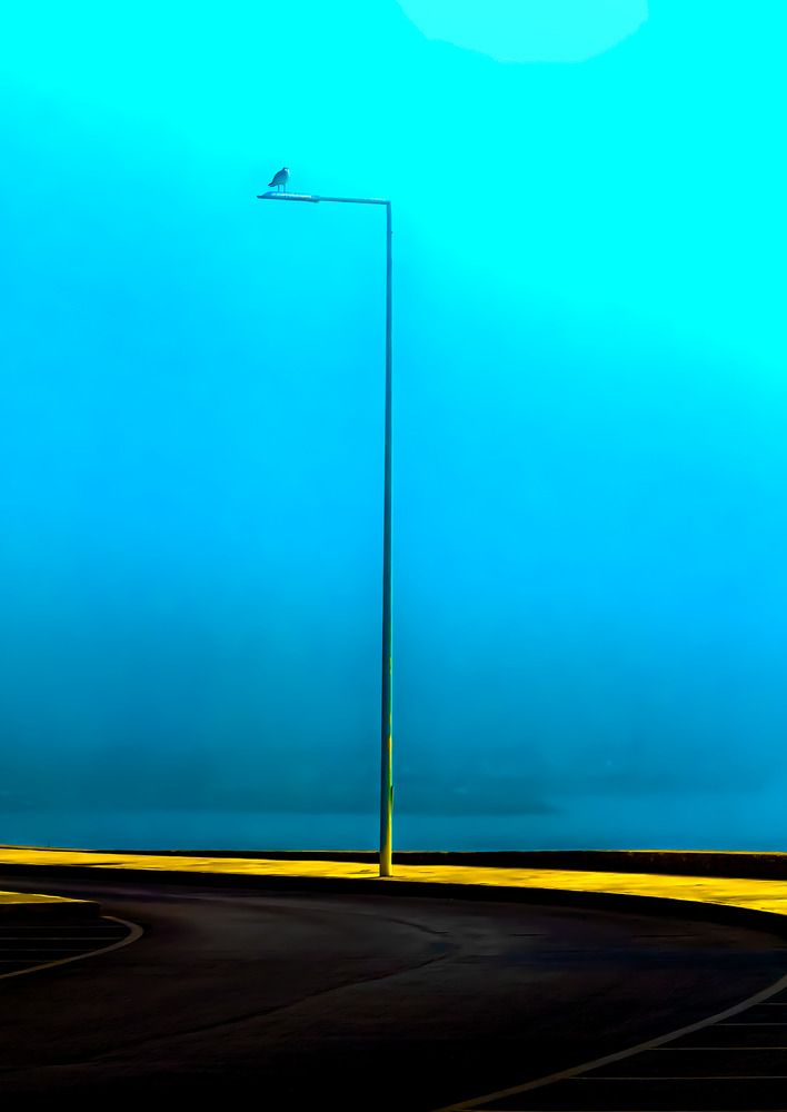 Photograph by Jose Carvalho