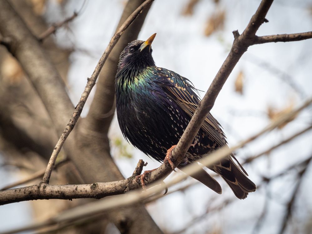Фотография автора Бычков Валерий