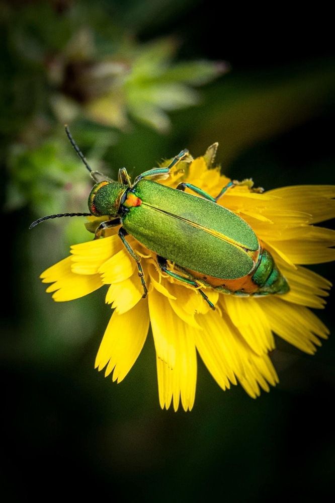 Photograph by Amelia Pardo