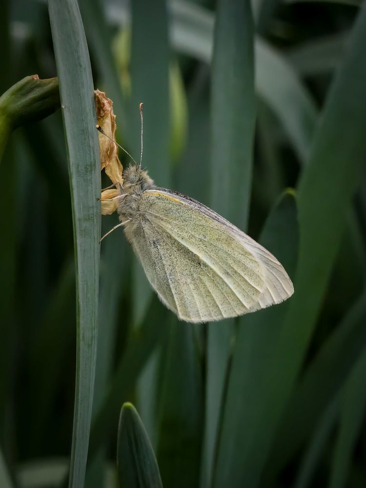 Photograph by Бистра Стоименова