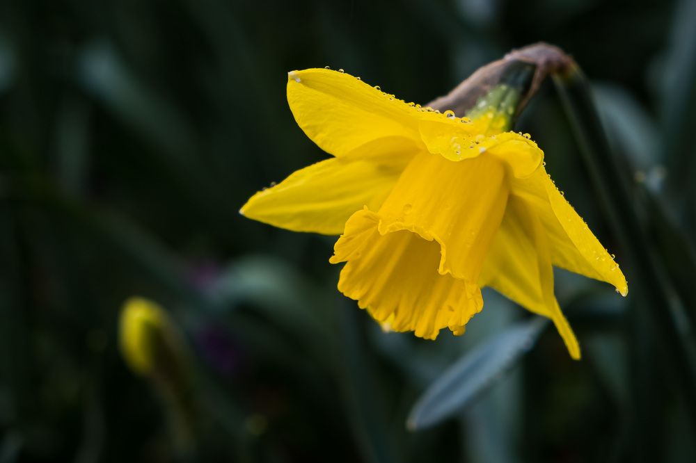 Photograph by Никита Борзов