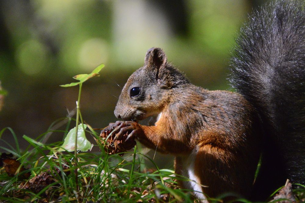 Photograph by Дмитрий Юдин