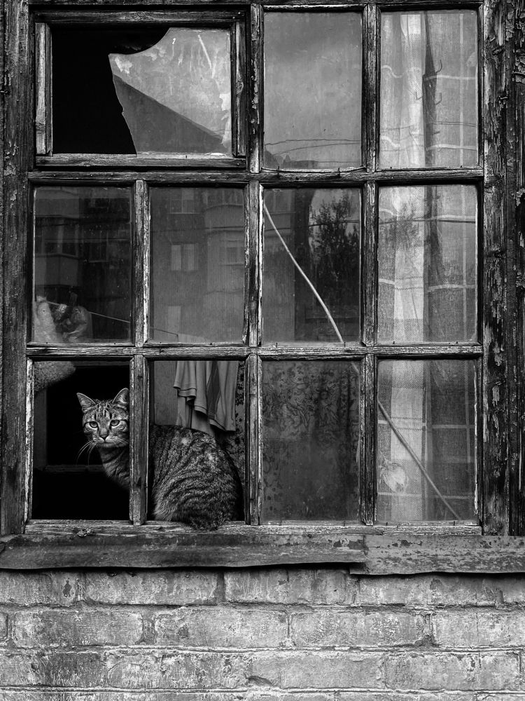 Photograph by Андрей Васильев