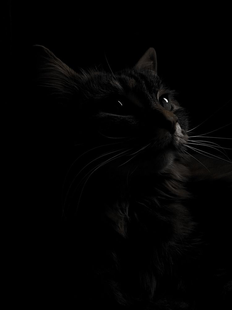 Photograph by Елена Гайдай