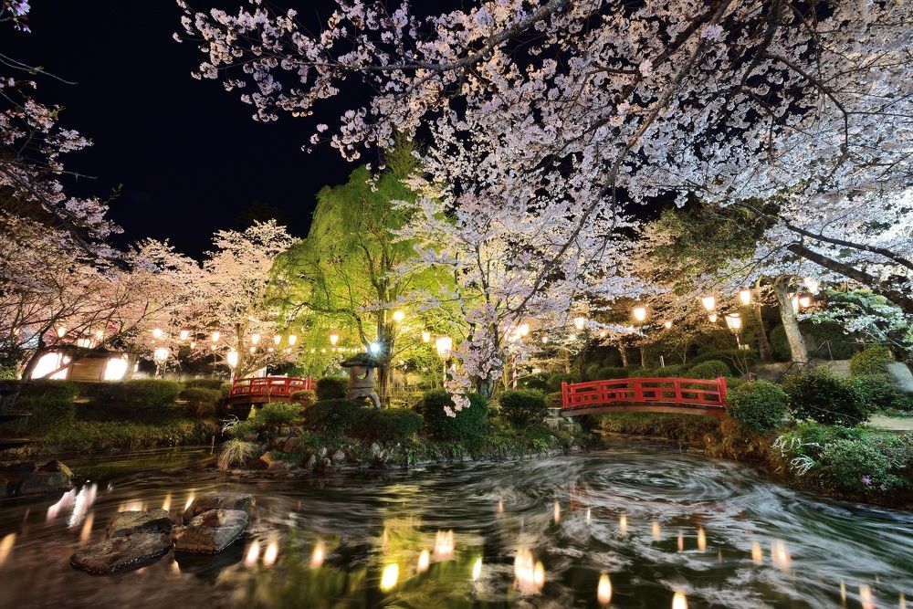 Photograph by Ohta Sigeki