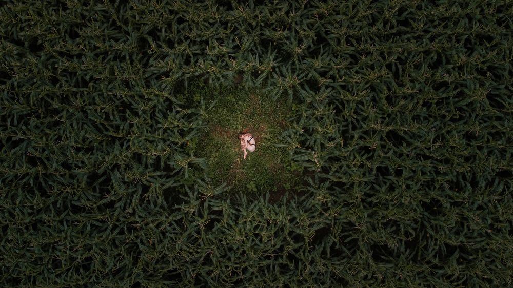 Photograph by Александр Сергиенко