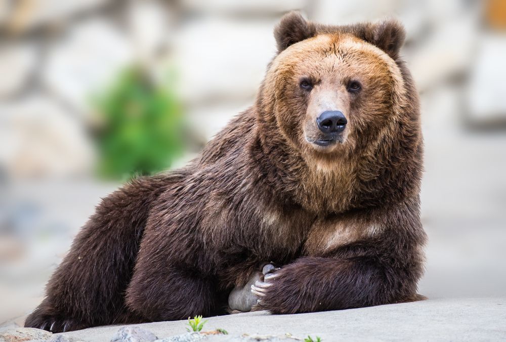 Photograph by Татьяна Гладкова