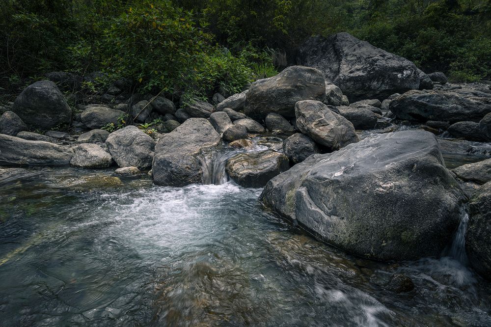 Photograph by Soumya Kayal