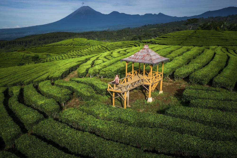 Photograph by Maulana Akbar