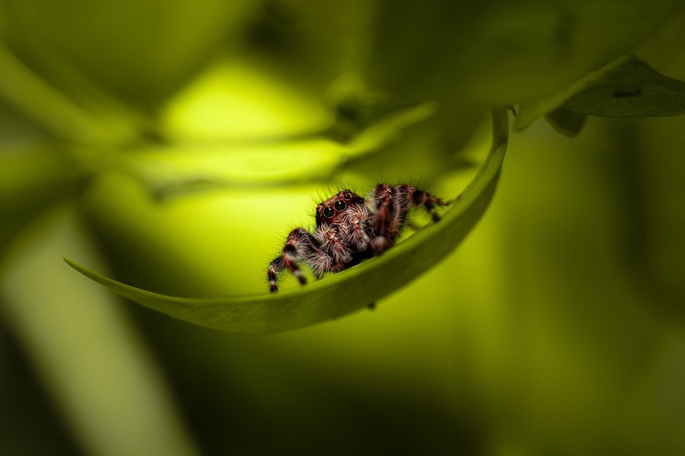 Photograph by Gabriel de Araujo Almeida