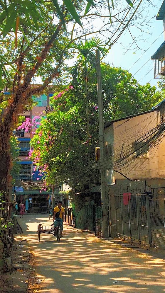 Фотография автора Ko Hla Myint Oo