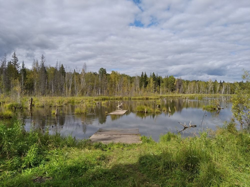 Photograph by Анастасия