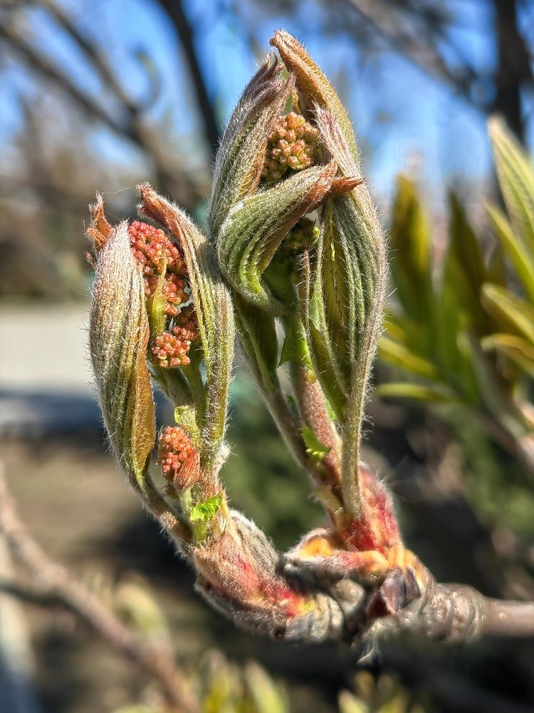 Photograph by Бобкин Алексей