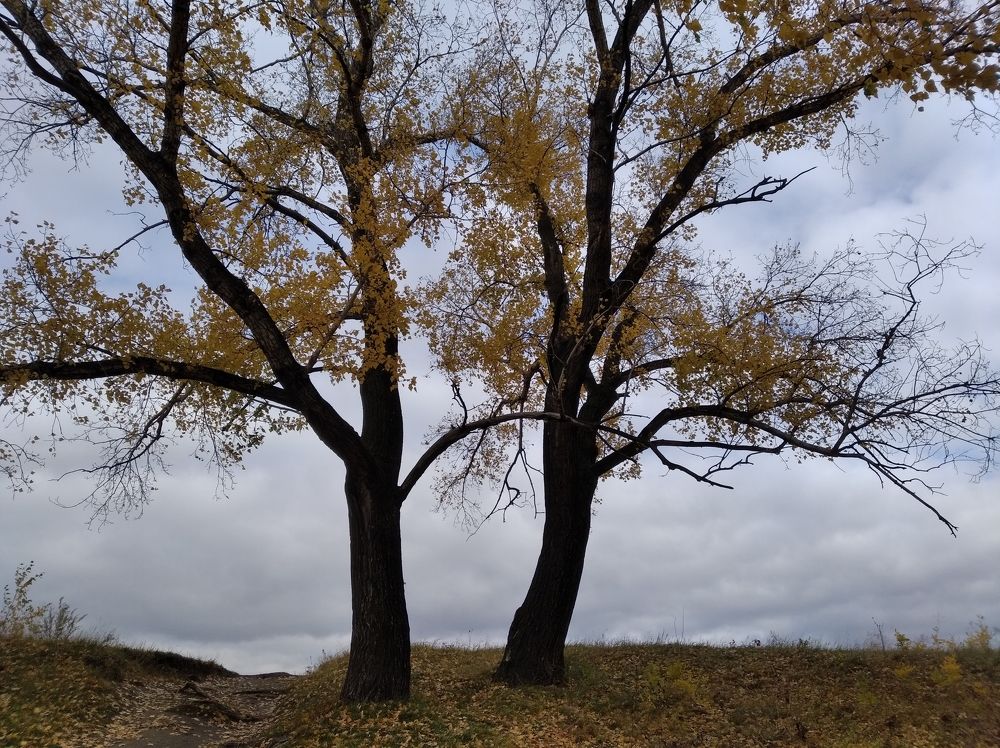 Photograph by Анастасия Горбачева