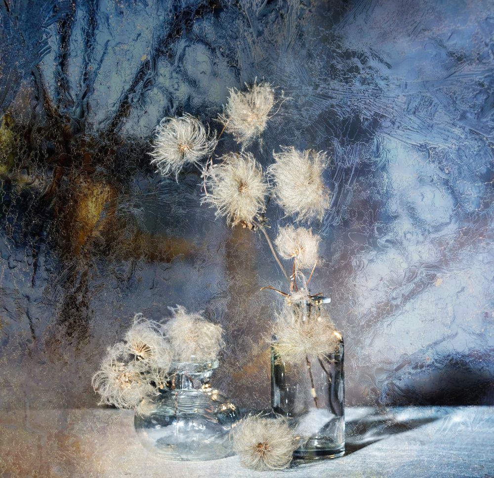 Photograph by NADEZHDA PELYMSKAIA