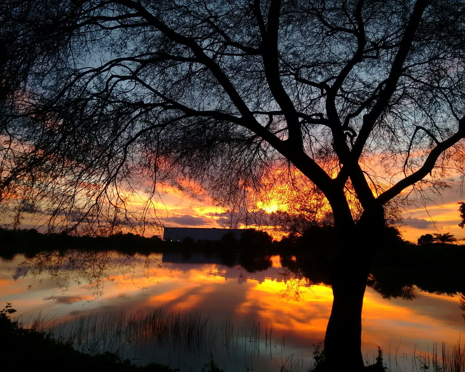 Photo #9068334