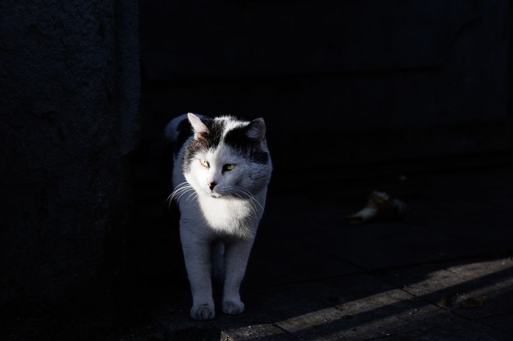 Photograph by Karina Shprekher