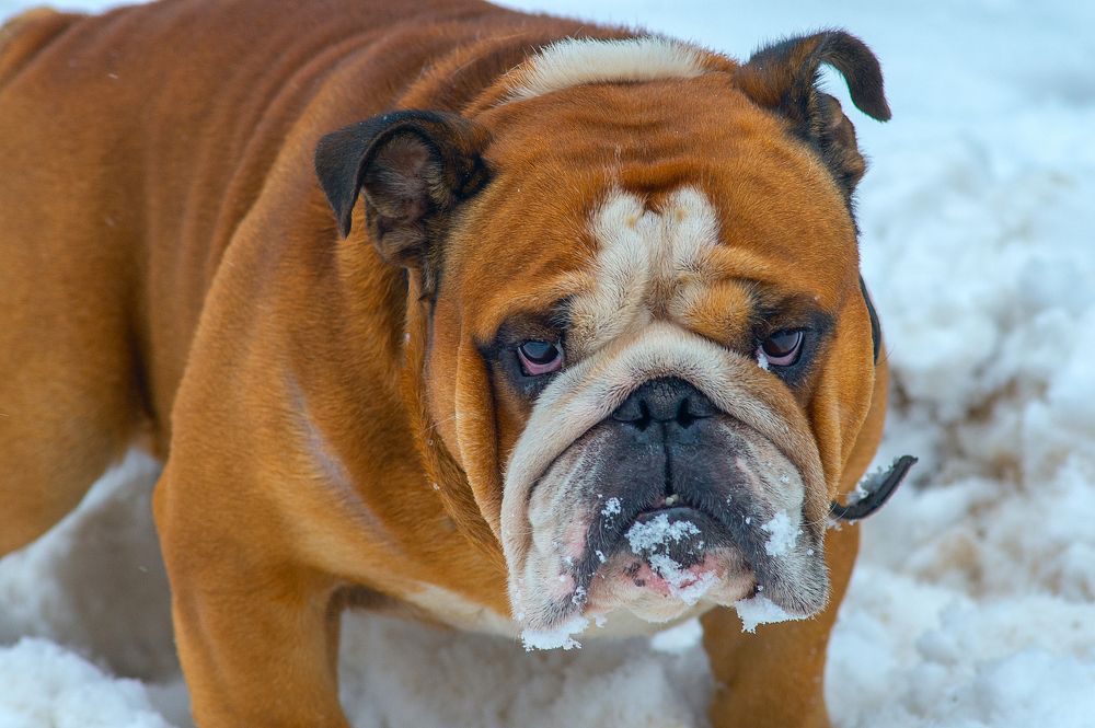 Photograph by Олег Ващилко