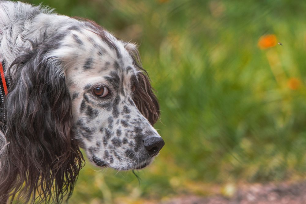 Photograph by Олег Ващилко